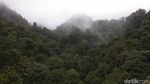 Foto: Jembatan Gantung Situ Gunung yang Viral di Medsos