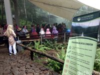 Foto: Jembatan Gantung Situ Gunung Yang Viral Di Medsos