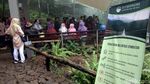 Foto: Jembatan Gantung Situ Gunung yang Viral di Medsos