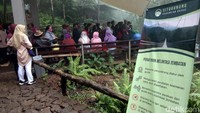 Sebelum masuk ke jembatan, antre dengan tertib dulu ya. Baca juga peraturan saat melintasi jembatan ini ya. Salah satunya, jangan lari-lari dan juga melompat-lompat di atas jembatan.  (Idris/detikTravel)  
