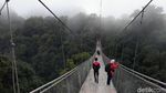 Foto: Jembatan Gantung Situ Gunung yang Viral di Medsos