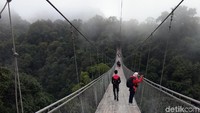 Jembatan gantung ini disebut-sebut sebagai yang terpanjang di Indonesia. Pantas jika jembatan ini jadi viral di media sosial. (Idris/detikTravel)  