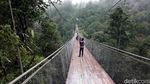 Foto: Jembatan Gantung Situ Gunung yang Viral di Medsos