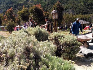 5 Pesona Gunung Papandayan untuk Para Pendakinya