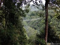 Viral! Jembatan Gantung Situ Gunung Diserbu Wisatawan