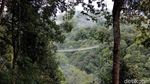 Foto: Jembatan Gantung Situ Gunung yang Viral di Medsos