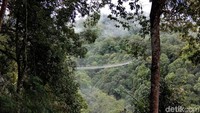  Dari kejauhan, jembatan ini tampak begitu menantang. Wajar karena jembatan ini memiliki panjang 240 meter dan berada di ketinggian 150 meter dari permukaan tanah. (Idris/detikTravel)  