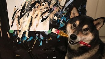 Anjing berusia 5 tahun ini dinamai Hunter yang berjenis Shiba Inu. Ia memiliki kemampuan unik yakni melukis. (Foto: Boredpanda)
