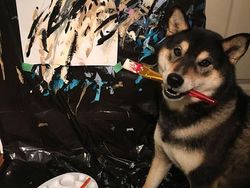Gemas! Anjing Ini Ternyata Jago Melukis