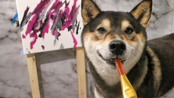 Lukisan Hunter ini memang abstrak namun unik karena dibuat oleh seekor anjing. (Foto: Boredpanda)