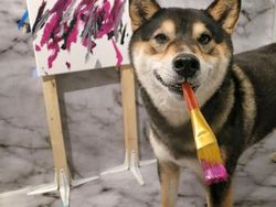 Gemas! Anjing Ini Ternyata Jago Melukis
