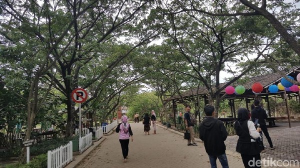 Kawasan yang luasnya mencapai 100 Hektar ini terasa sejuk dan hawa di kawasan ini tidak terlalu panas karena banyak pohon rindang. (Syanti/detikTravel) Kawasan yang luasnya mencapai 100 Hektar ini terasa sejuk dan hawa di kawasan ini tidak terlalu panas karena banyak pohon rindang. (Syanti/detikTravel)