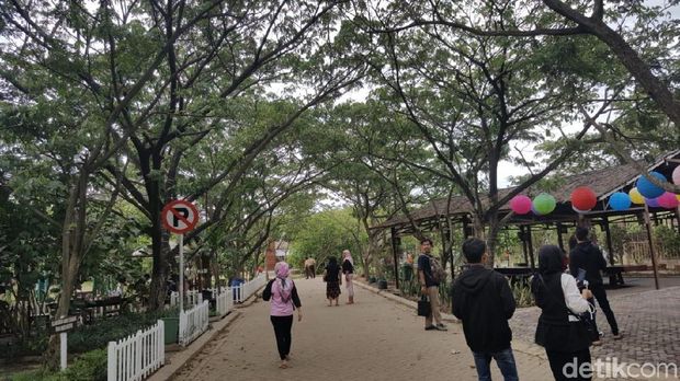 Suasana di Taman Mangrove (Syanti/detikTravel)