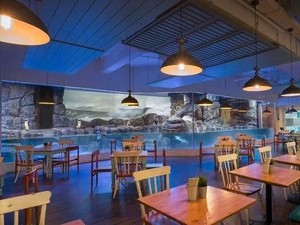 Kumpul Keluarga Akhir Tahun Bisa Makan di Resto yang Cozy Ini