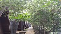 Tahun Baru di Jakarta? ke Taman Mangrove Saja