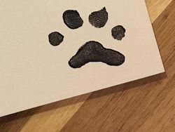 Gemas! Anjing Ini Ternyata Jago Melukis