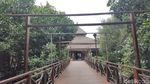 Foto: Jakarta Punya Hutan Mangrove Seindah Ini