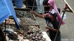 Jelang Malam Tahun Baru, Ikan dan Kerang Mulai Diburu
