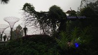 Bila ingin menghabiskan waktu liburan awal tahun di Taman Langit harus bersiap membawa jaket tebal. (istimewa)