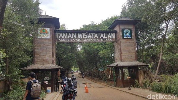 Liburan di awal tahun di Jakarta, traveler bisa berkunjung ke Taman Wisata Alam Mangrove di Penjaringan, Jakarta Utara. Lokasinya tidak jauh dari Pantai Indah Kapuk. (Syanti/detikTravel)