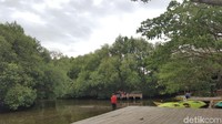 Kegiatan yang tidak kalah menarik di kawasan Taman Mangrove ini adalah wisata air. (Syanti/detikTravel)