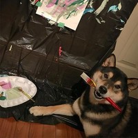 Kenny mengatakan ketika pertama kali belajar melukis, Hunter ingin melakukannya sepanjang waktu. Melukis pun jadi hobi barunya --yang sekarang jadi pekerjaannya. Foto: Instagram