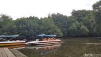 Di sini kamu bisa menyewa kapal dan kano untuk berkeliling kawasan mangrove via airnya. Harga sewanya, untuk boat muatan 8 orang Rp 450 ribu, boat muatan 6 orang Rp 350 ribu, perahu dayung dan kano Rp 100 ribu. (Syanti/detikTravel)