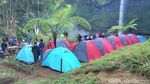 Foto: Makan Apel Sepuasnya di Lereng Gunung Bromo