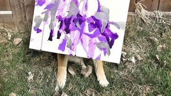 Alasannya, rumah mereka memiliki tembok besar dan ingin ditempeli beberapa karya seni lukis yang unik dan berbeda dari yang lain. (Foto: Boredpanda)