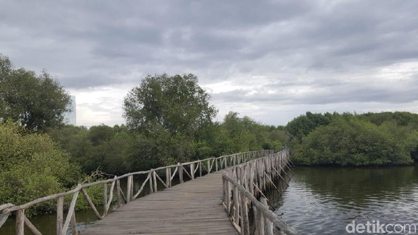 Beragam kegiatan menarik yang bisa traveler lakukan di kawasan Taman Mangrove ini. Bisa bersepeda, menikmati udara yang sejuk dengan jalan kaki, berfoto-foto, kemping, outbond, dan juga kegiatan air. (Syanti/detikTravel) Beragam kegiatan menarik yang bisa traveler lakukan di kawasan Taman Mangrove ini. Bisa bersepeda, menikmati udara yang sejuk dengan jalan kaki, berfoto-foto, kemping, outbond, dan juga kegiatan air. (Syanti/detikTravel)