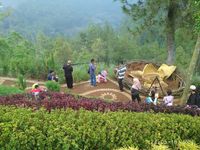 (Istimewa)