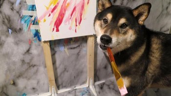 Namun oleh Au, Hunter diberikan kegiatan lain selain melukis. Hal ini mencegah agar Hunter tidak merasa bosan karena melukis setiap hari. (Foto: Boredpanda)