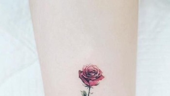 Bunga mawar. (Foto: Brightside)