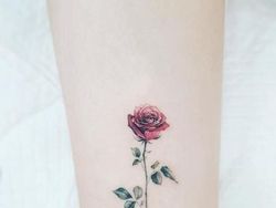 Kumpulan Foto Seni Lukis Tato 3D yang Memukau