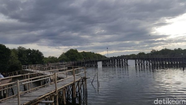 Mengelilingi kawasan Taman Mangrove memang cukup melelahkan. Namun rela berkeringat bukan demi menikmati pemandangan seperti ini? (Syanti/detikTravel) Mengelilingi kawasan Taman Mangrove memang cukup melelahkan. Namun rela berkeringat bukan demi menikmati pemandangan seperti ini? (Syanti/detikTravel)