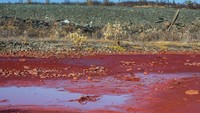 Bahkan sungai-sungainya berubah jadi seperti darah. Bahkan, salju pun berwaran merah. (AFP/Getty Images/BBC)