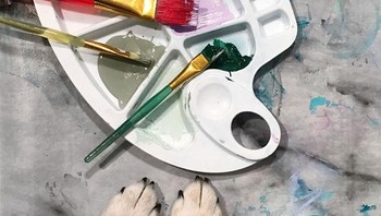 Dia memiliki banyak energi dan tampaknya paling bahagia ketika kita melatihnya secara fisik dan mental juga, jadi kami mengajarinya sebanyak mungkin trik yang dapat kami pikirkan, tambah pasangan itu. (Foto: Boredpanda)