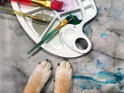 Gemas! Anjing Ini Ternyata Jago Melukis