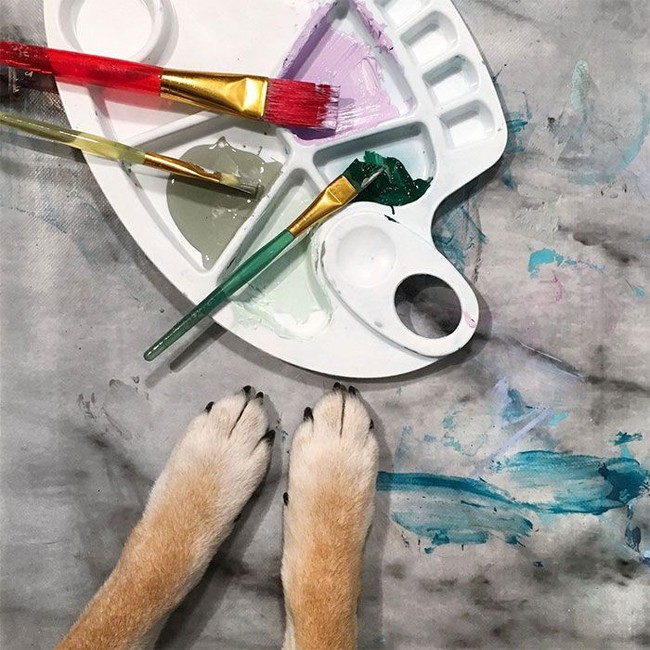 Meskipun mendatangkan penghasilan, Kenny dan Denise tidak mau menjadikan Hunter sebagai pencetak uang. Dia akan tetap membiarkan Hunter melukis selama itu membuatnya senang. Jika Hunter sudah bosan, maka mereka tak akan memaksa anjing berbulu hitam-cokelat itu untuk terus melukis. Foto: Instagram