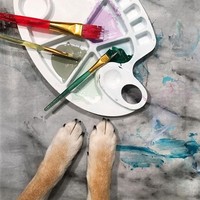 Meskipun mendatangkan penghasilan, Kenny dan Denise tidak mau menjadikan Hunter sebagai pencetak uang. Dia akan tetap membiarkan Hunter melukis selama itu membuatnya senang. Jika Hunter sudah bosan, maka mereka tak akan memaksa anjing berbulu hitam-cokelat itu untuk terus melukis. Foto: Instagram