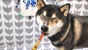 Ia tingal di Alberta, Kanada bersama dengan pasangan suami istri Kenny Au dan Denise Lo. Merekalah yang mengajari Hunter untuk melukis. (Foto: Boredpanda)