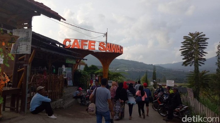 Wisata Cafe Sawah Pujon Kidul