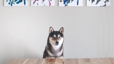 Gemas! Anjing Jago Lukis yang Karyanya Laku Dijual Rp 548 Ribu