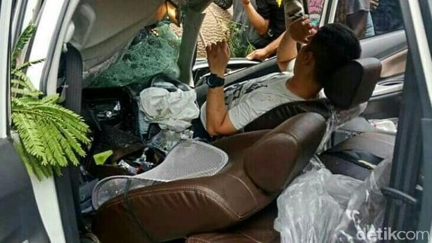 Pohon Roboh Timpa Mobil, Jalur Pantura di Banyuwangi Macet