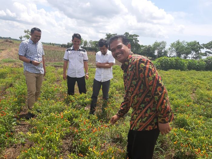 Foto: Kementan Foto: Kementan