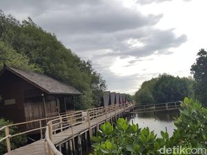 Tahun Baru di Jakarta? ke Taman Mangrove Saja