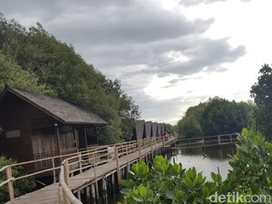 Tahun Baru di Jakarta? ke Taman Mangrove Saja