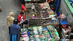 Jelang Malam Tahun Baru, Ikan dan Kerang Mulai Diburu