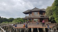 Bagi traveler yang suka hunting foto, Taman Mangrove ini punya banyak spot Instagramble. Pintar-pintar saja cari angle dan jangan malas untuk berkeliling ya. (Syanti/detikTravel)