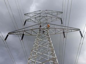 Viral Listrik Padam Massal Gegara Pohon Sengon, PLN: Hoaks!